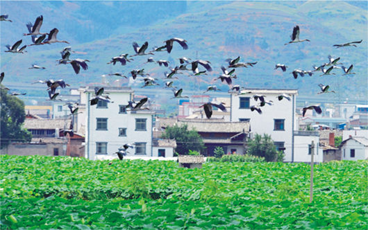 強(qiáng)化招商引資 推進(jìn)園區(qū)建設(shè)——訪市黨代表、工業(yè)園區(qū)主任李俊龍