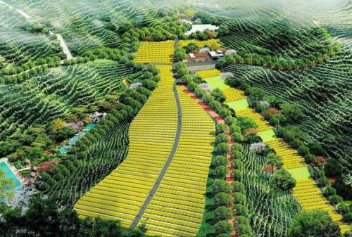 甘肅國家農(nóng)業(yè)科技園區(qū)創(chuàng)建（2022國家農(nóng)業(yè)科技園區(qū)創(chuàng)建）