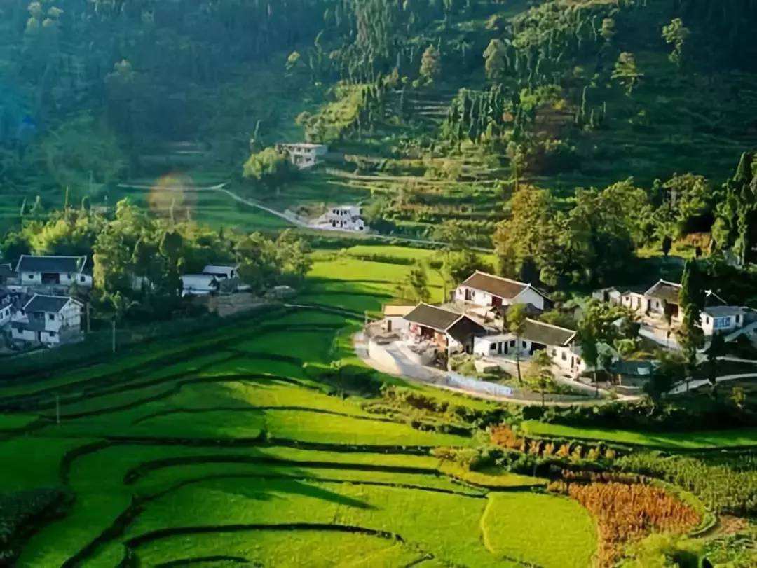 成都高新區(qū)發(fā)布網(wǎng)絡視聽產(chǎn)業(yè)規(guī)劃