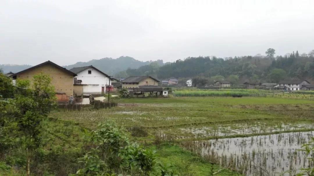 農(nóng)村土地確權(quán)結(jié)束，沒登記的四荒地如何處理？