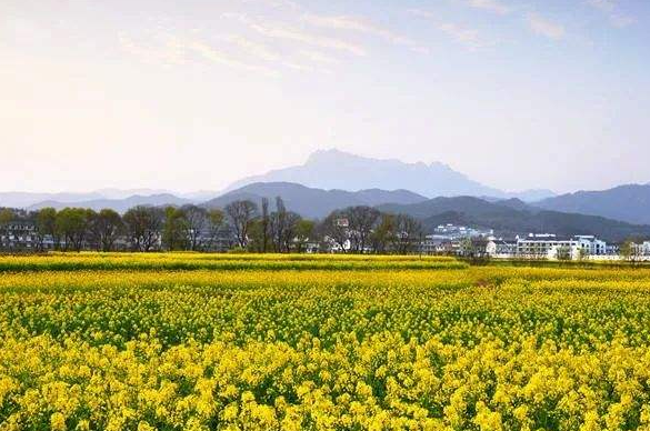 安慶潛山：突出個性特色，推動鄉(xiāng)村振興