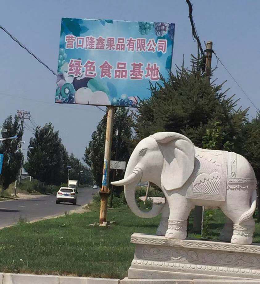 東北水果之鄉(xiāng)迎來發(fā)展新機遇，蓋州爭創(chuàng)省級現(xiàn)代農(nóng)業(yè)產(chǎn)業(yè)園