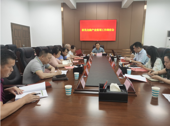 發(fā)力五型經(jīng)濟(jì)，著力打造“中國龍腦之都”