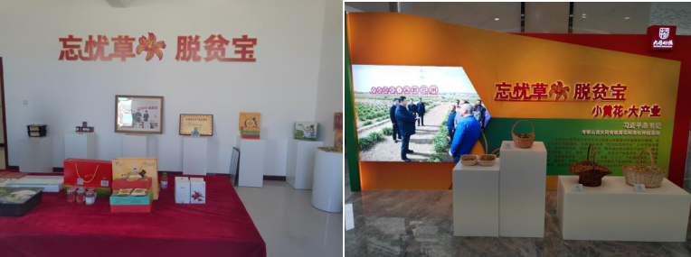 打造農(nóng)業(yè)綠色發(fā)展典范，云州區(qū)創(chuàng)建國(guó)家農(nóng)業(yè)綠色發(fā)展先行區(qū)勢(shì)在必行